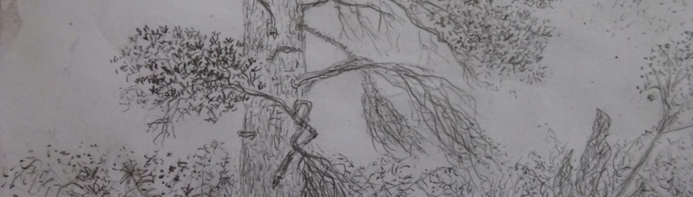 The proof is not in the pudding